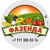 Логотип телеграм канала @fazendabinis — ФАЗЕНДА