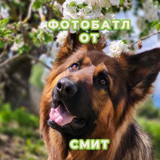 Логотип телеграм канала @fb_smith — Фотобатлы и конкурсы от Смит