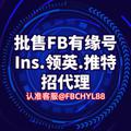 Logo saluran telegram fbchyl — 🔥FB有缘🔥领英🔥IG🔥推特🔥GV🔥tinder各类海内外数据资源