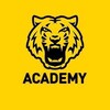 Логотип телеграм -каналу fc_chernihiv_academy — ДЮСШ ФК Чернігів🐯
