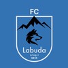 Логотип телеграм канала @fc_labuda_2022 — Фк Лабуда