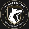 Логотип телеграм канала @fc_pribrezny — ФК «Прибрежный» - детский футбольный клуб в Омске