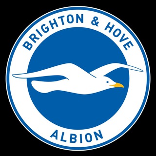 Логотип телеграм канала @fcbrightonhovealbion — Brighton Hove Albion