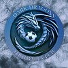 Логотип телеграм канала @fcdarkdragons9441 — FC «DARK DRAGONS»