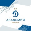 Логотип телеграм канала @fcdynamo_academyvoronezh — Воронеж Академия "Динамо" им. Л.И. Яшина