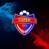 Логотип телеграм канала @fcgorki2003 — ФК «Горки»