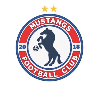 Логотип телеграм канала @fcmustangs2018 — ФК «МУСТАНГИ» 🐎