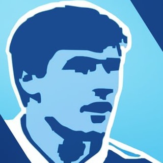 Логотип телеграм канала @fcrotor1929 — Роман о «Роторе»