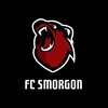 Лагатып тэлеграм-канала fcsmorgon1987 — ФК "Сморгонь"