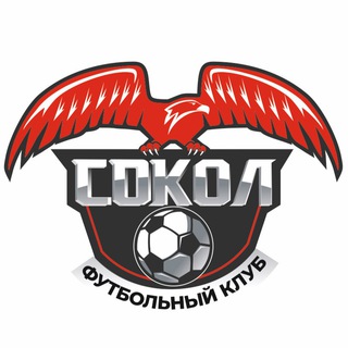 Логотип телеграм канала @fcsokol2022 — ФК «СОКОЛ» | Казань