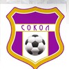 Логотип телеграм канала @fcsokol27 — Подразделение «Сокол» ГБУ ДО «Московская футбольная академия»
