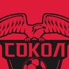 Логотип телеграм канала @fcsokol_kazan — ФК «СОКОЛ» Казань