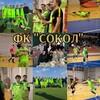 Логотип телеграм канала @fcsokoll — ФК «Сокол»