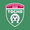 Логотип телеграм канала @fctosno — Футбольный клуб Тосно
