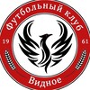 Логотип телеграм канала @fcvidnoe — Футбольный клуб «Видное»