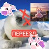 Логотип телеграм канала @fdmagazinchikkurgana — @SeaSlugShop ПЕРЕЕЗД