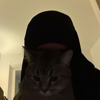 Логотип телеграм канала @feafoxss — ن