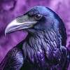 Логотип телеграм канала @featherline_news — Featherline
