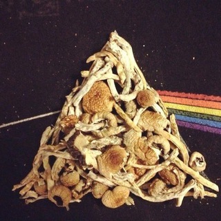 Логотип телеграм канала @feathermanmusic — FeathermanMusic