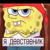 Логотип телеграм канала @febdot — Федот
