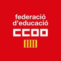 Logo saluran telegram feccoopv — FE CCOO PV