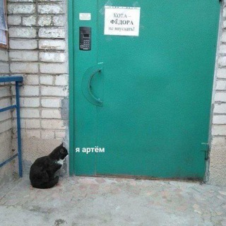 Логотип телеграм канала @fedorthecat — Приключения к. Фёдора