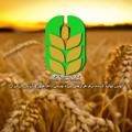 Logo saluran telegram feedarsysafzar — فیدار سیستم افزار
