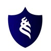 Логотип телеграм канала @fefucyber — FEFU Cybersecurity Center