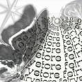Logo saluran telegram feirystore — Feiry Store ; on reconstruction!