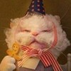 Логотип телеграм канала @felagovorit — Феля говорит...