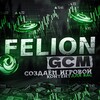 Logo of telegram channel felion_channel — FELION