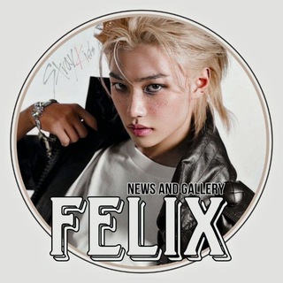 Логотип телеграм канала @felix_skz_news — FELIX | 🐥 | STRAY KIDS | NEWS | GALLERY