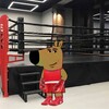 Логотип телеграм канала @female_fighter — Бойчиха