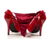 Логотип телеграм канала @feminine_fragrance — 🔞 Аромат женщины(ношеные трусики, колготки, чулки, носки)
