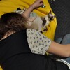 Логотип телеграм канала @femininhell — Феминный Ад [Круг Фурии]