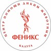 Логотип телеграм канала @fenixwildanimals — Феникс дикие животные