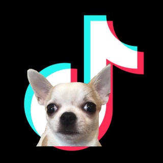 Логотип телеграм канала @fenyabestdogreally — Да я (гарем вундеркиндов)