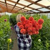 Логотип телеграм канала @ferma_lenart — Ферма «ЛенАрт» СРЕЗКА
