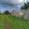 Логотип телеграм канала @ferma_na_ozere — СЕЛЬХОЗКА