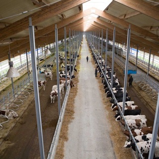 Логотип телеграм канала @fermachert — Ферма чертежи