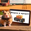 Логотип телеграм канала @fermavkredit — HLS | Ферма в кредит CS2