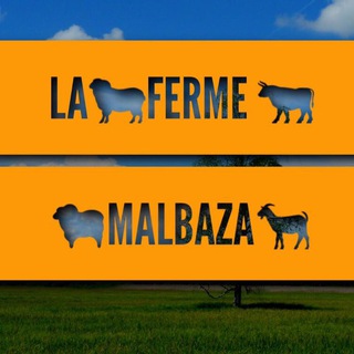 Logo de la chaîne télégraphique fermemalbaza - La ferme avicole malbaza -Niger