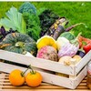 Логотип телеграм канала @fermerskie_producty — Домашние продукты ДНР Кировский район, Текстильщик🍄