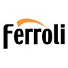 Логотип телеграм канала @ferroli_rus_bel — Ferroli_rus_bel