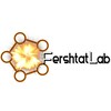 Логотип телеграм канала @fershtatlab — FershtatLab