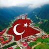 Telegram kanalining logotibi feruza_turk_tili — TURK TILI🇹🇷🇺🇿MILLIY VA TYSga tayyorlov MAMATKOBILOVNA SAMARQAND