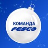 Логотип телеграм канала @fescoteam — Команда FESCO