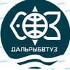 Логотип телеграм канала @festfu — Дальрыбвтуз