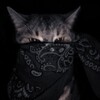 Логотип телеграм канала @fewleks — Слабейшие юноши