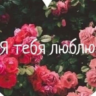Telegram channel Феи Киева | Содержанки и Спонсоры | Знакомства Вписки logo